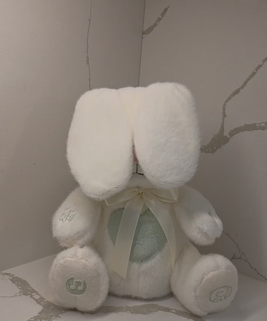 Peek-a-Boo Musical Bunny - Interactive Plush with Flapping Ears