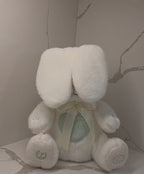 Peek-a-Boo Musical Bunny - Interactive Plush with Flapping Ears